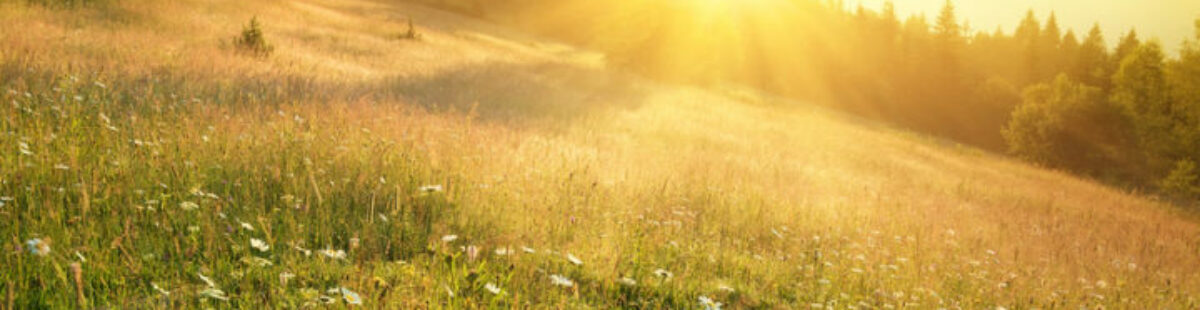 Lys- kroppens viktige helsekilde